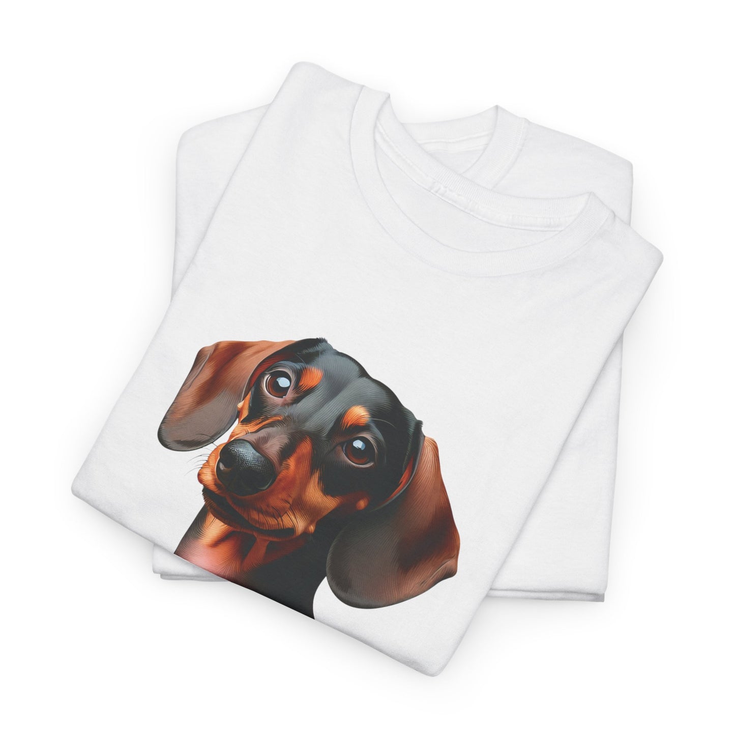 Favorite sausage dog 🤗