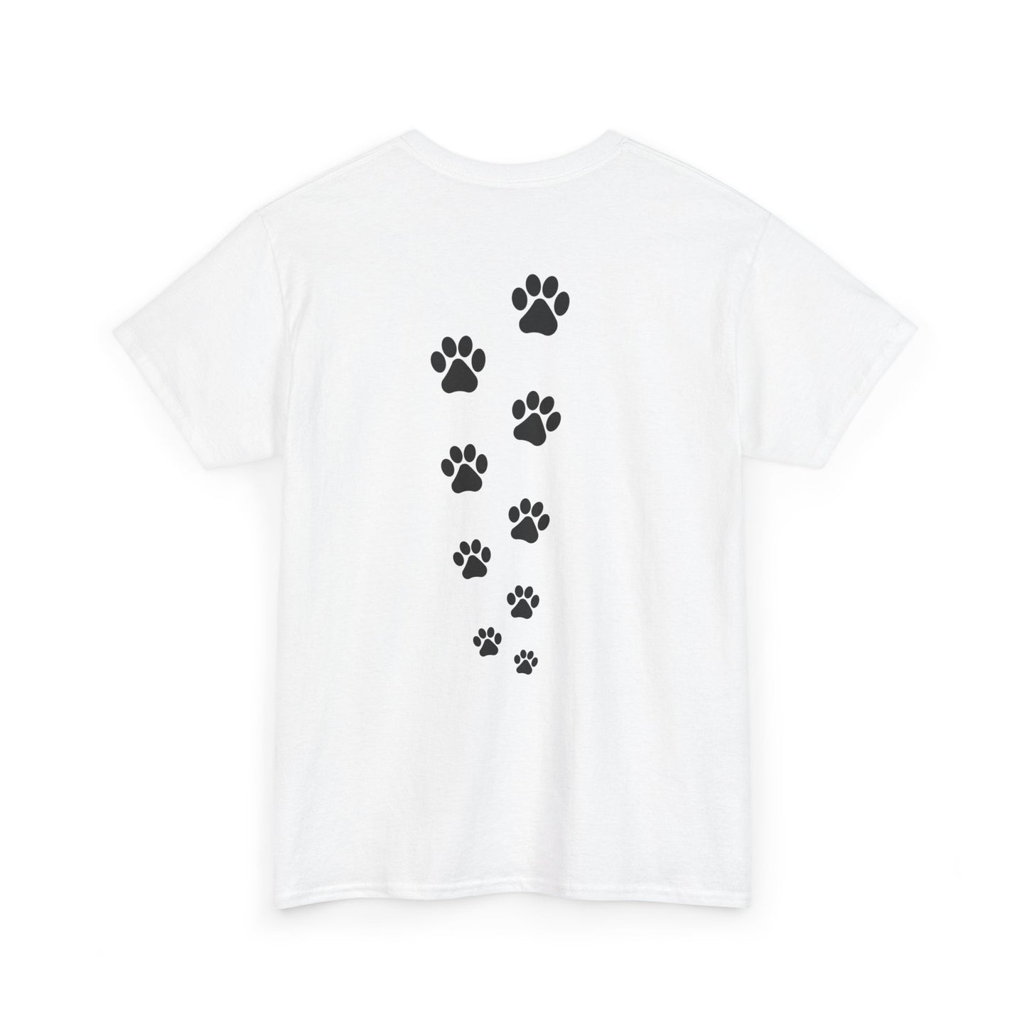 Favorite sausage dog 🤗